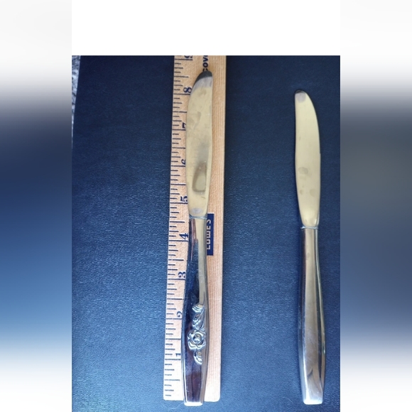 Oneida OUR ROSE Stainless 2 Dinner Knives SSS Scientific Glossy Flatware - Picture 7 of 7